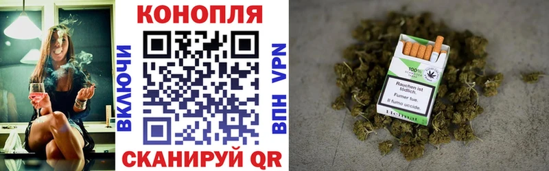 Шишки марихуана семена  продажа наркотиков  Власиха 